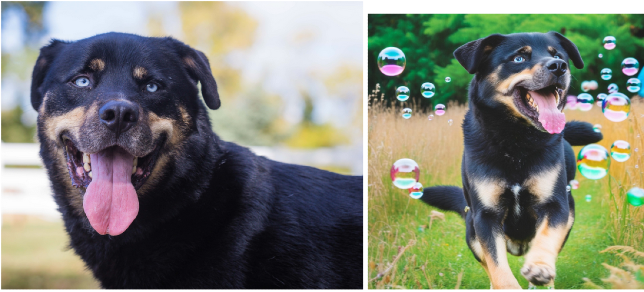 Side-by-side photograph from Second Shot and AI dog portrait of Blue, a rescue dog