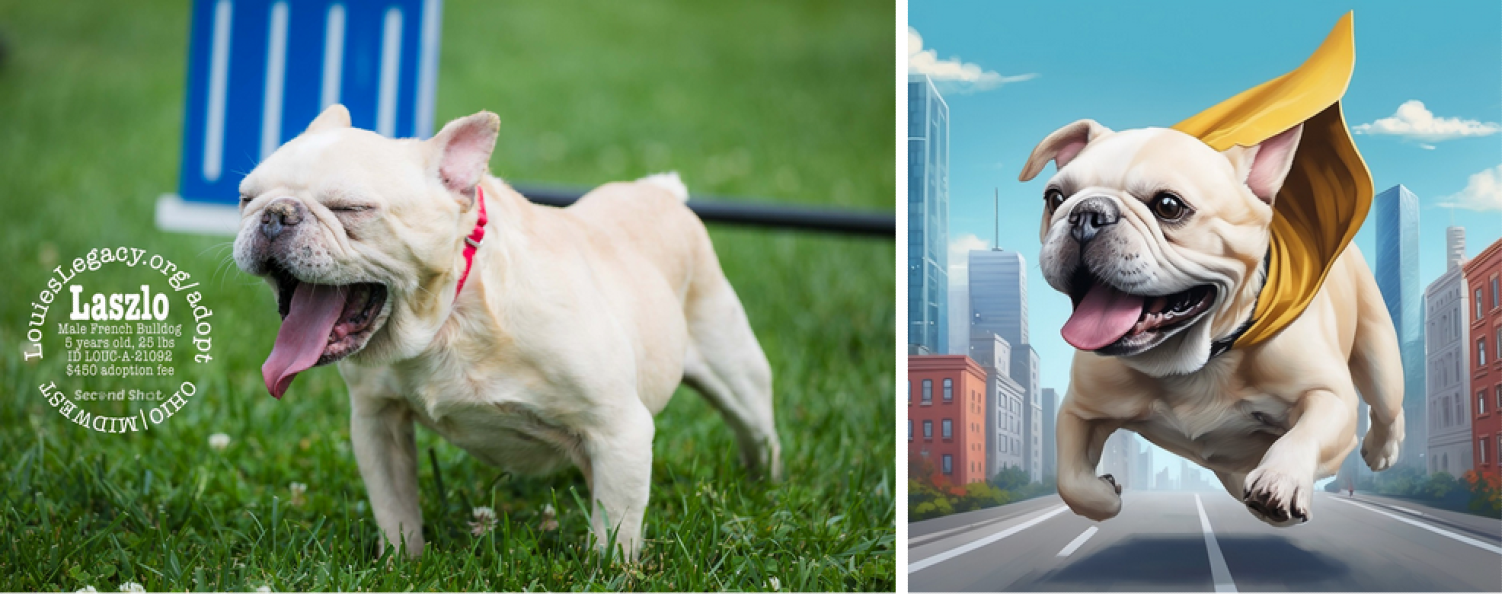 Side-by-side photograph from Second Shot and AI dog portrait of Laszlo, a rescue dog