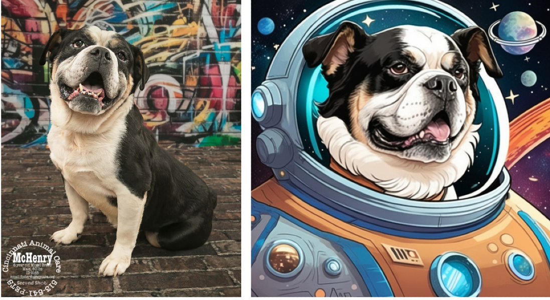 Side-by-side photograph from Second Shot and AI dog portrait of McHenry, a rescue dog