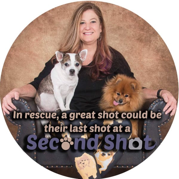 Photograph of Lisa Binns, the founder of Second Shot Photography, and two dogs