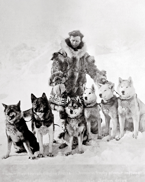 Photograph of Leonhard Seppala with six Siberian Husky dogs during the Nome Serum Run of 1925.