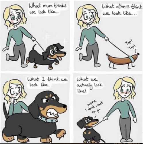 Funny comic about dachshunds