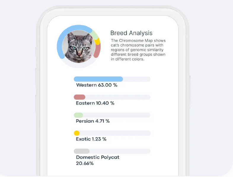 Breed analysis and chromosome map results from a cat DNA test