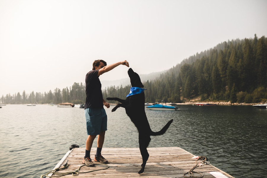 Photograph of a man giving a large black dog a treat