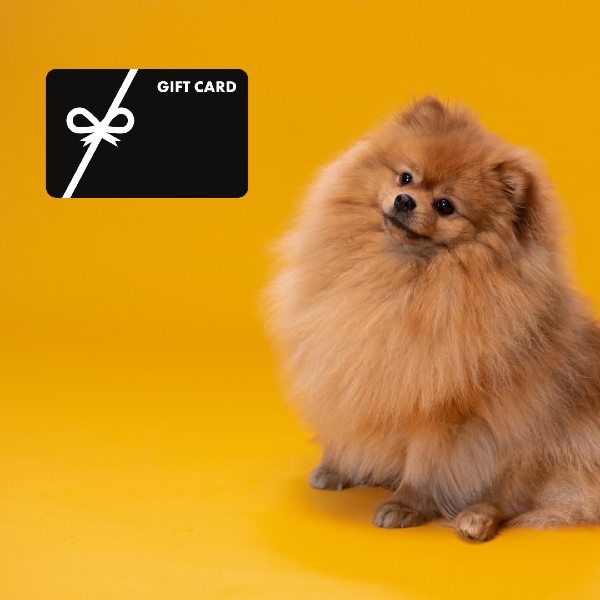 Image of pomeranian dog looking up at a gift card