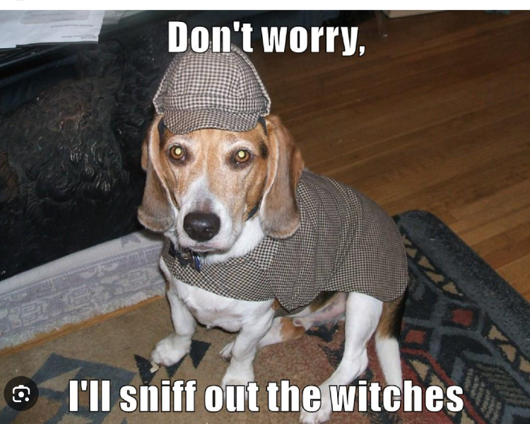 Photo of beagle with a detective hat, text: "Don't worry, I'll sniff out the witches."