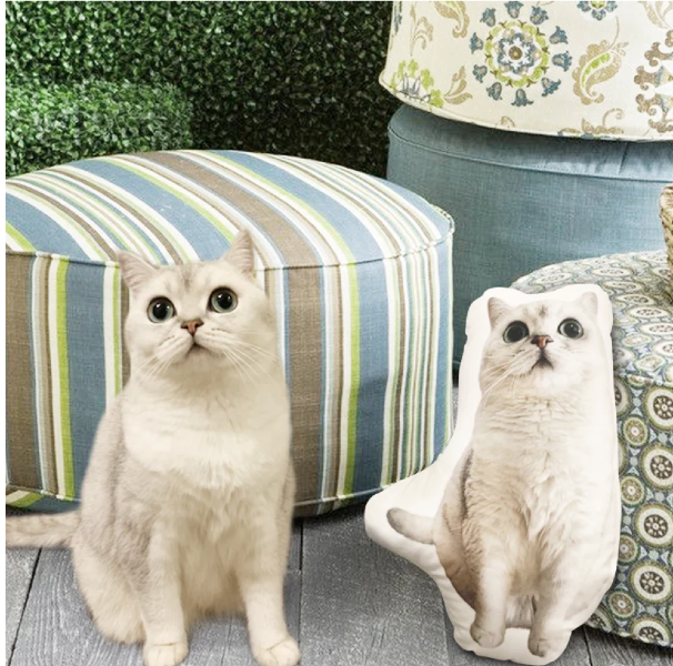 Photograph of a white cat next to a pillow that looks just like it