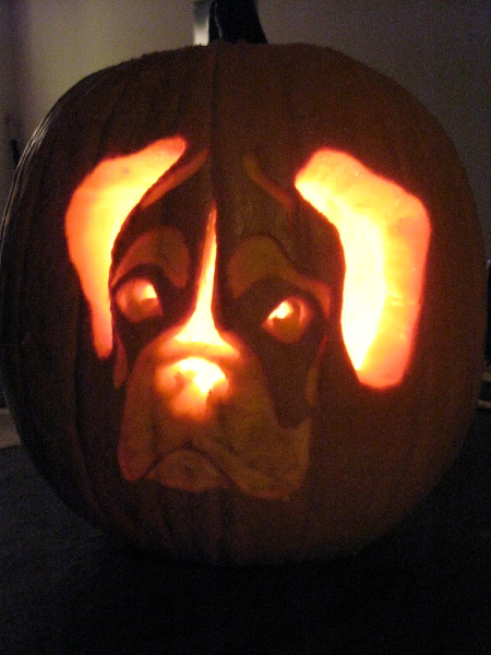 Lit-up jack-o-lantern with bulldog stencil