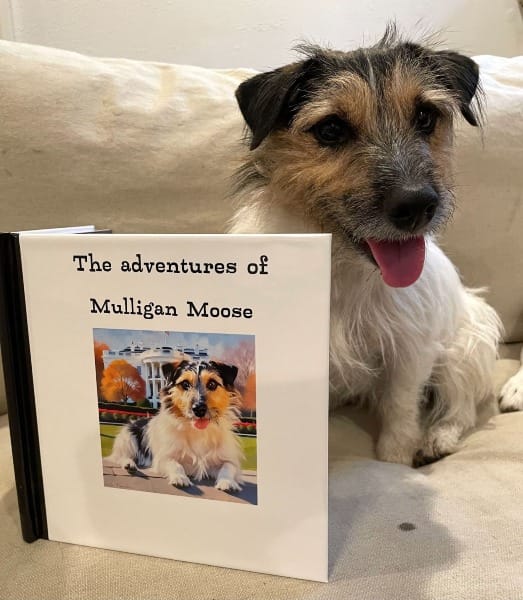 Moose, a terrier, with a custom picture book titled "the adventures of Mulligan Moose", featuring AI pet portraits of Moose