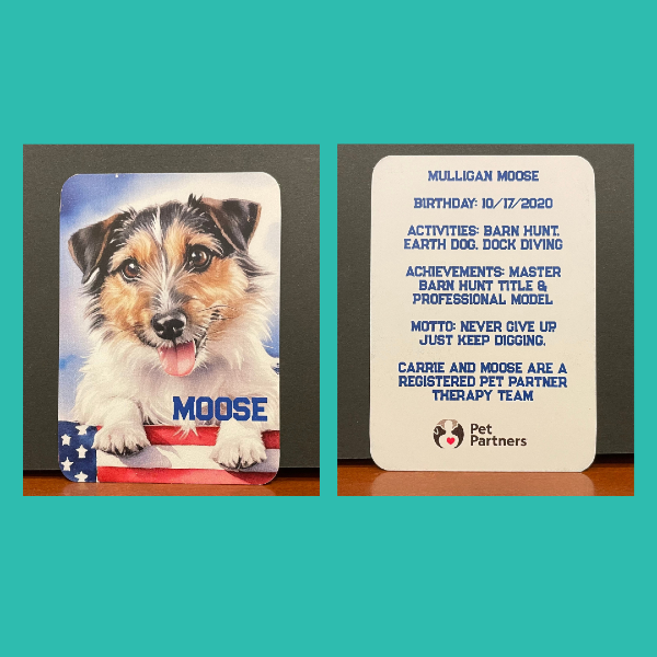 Custom trading card. Front side features a patriotic AI dog portrait of Moose, back side features biography facts about Moose