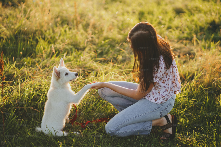 Photograph of a woman holding her puppy's paw in a sunny meadow