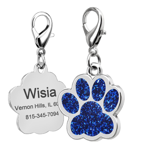 Custom dog tag with pet name and address