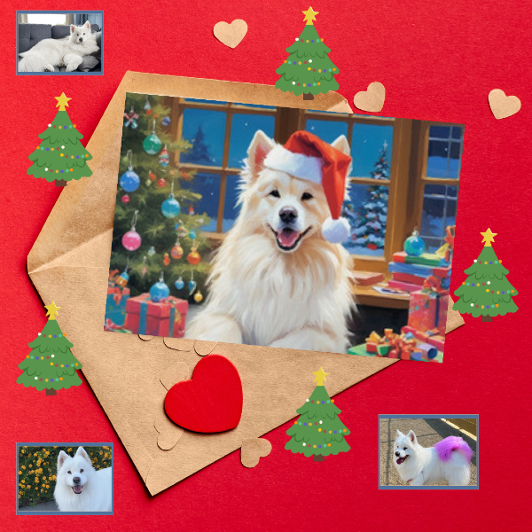 Collage of three photos of a samoyed dog and a samoyed Christmas card from PugMug